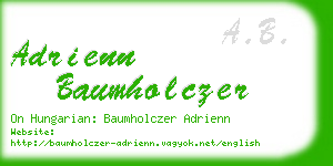 adrienn baumholczer business card